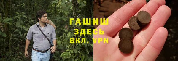 гашик Горняк