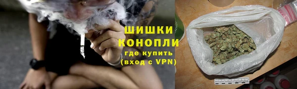 гашик Горняк