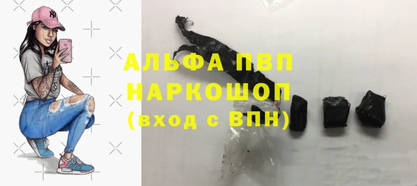 гашик Горняк