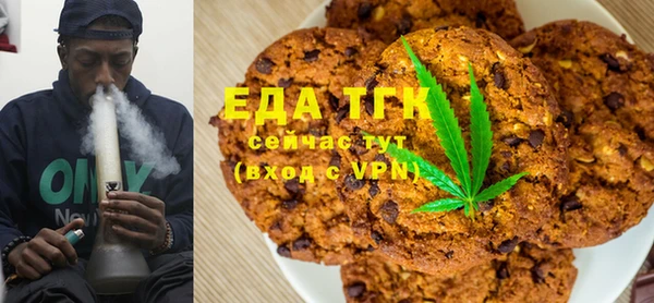 гашик Горняк