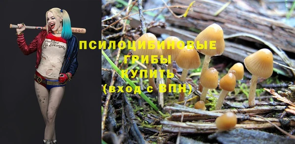 метадон Горнозаводск