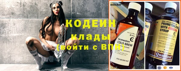 гашик Горняк