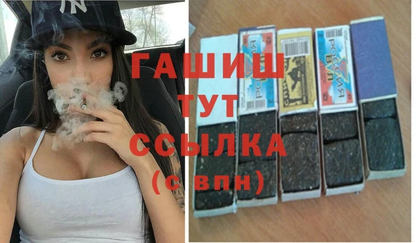 гашик Горняк
