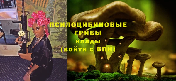 метадон Горнозаводск