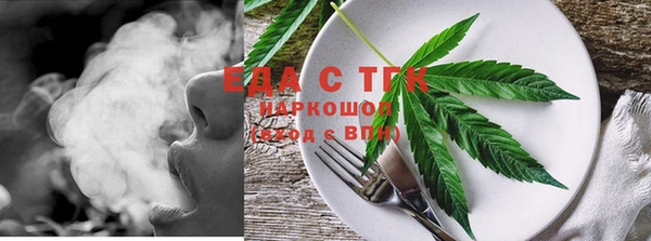 гашик Горняк